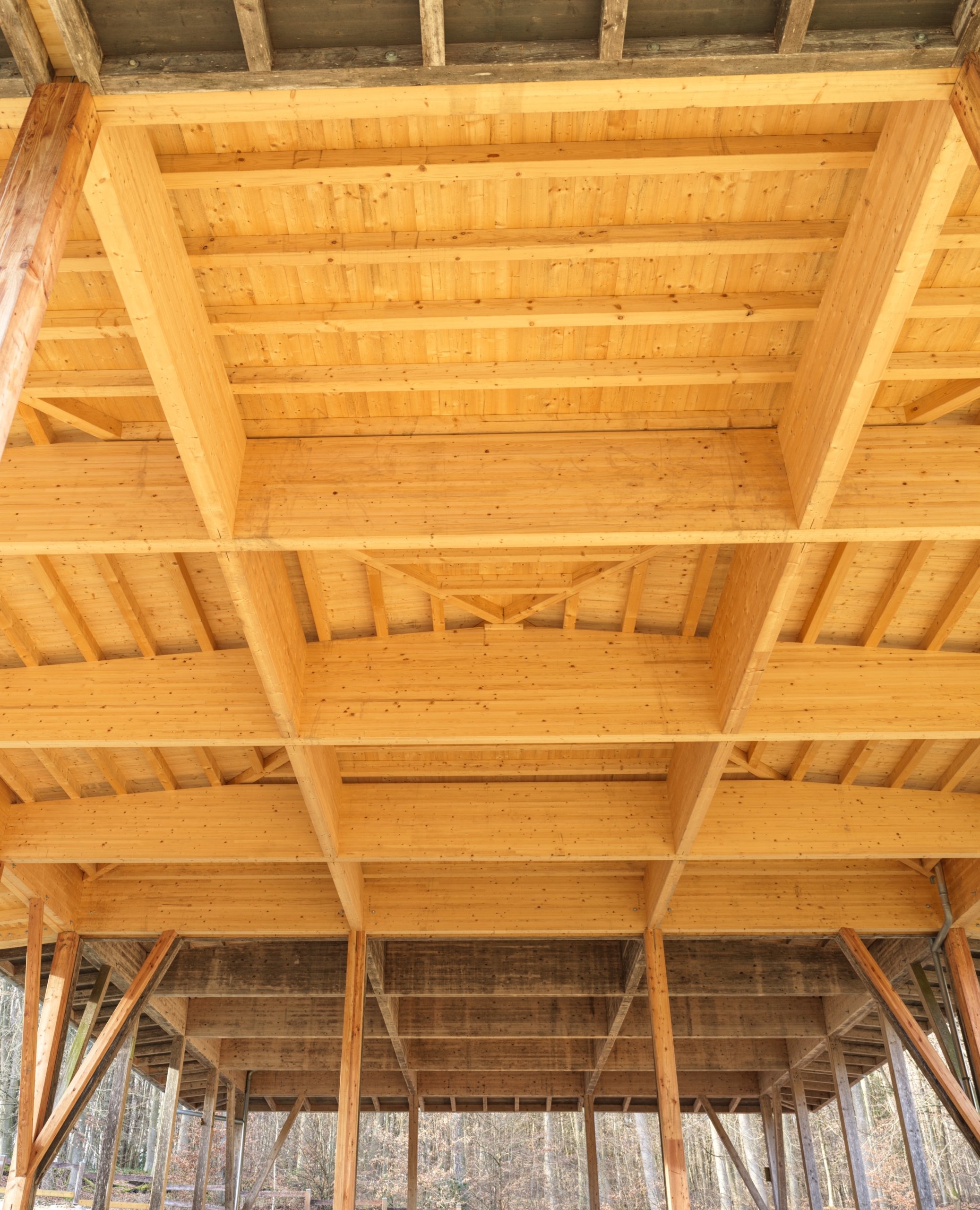 ZIMMEREI FELIX HARTH VILLA RUSTICA 1